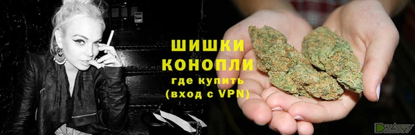 ГАЛЛЮЦИНОГЕННЫЕ ГРИБЫ Белокуриха