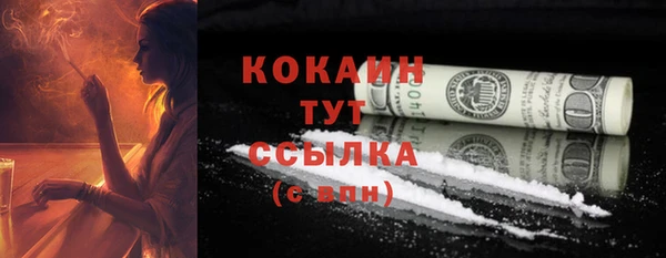 ГАЛЛЮЦИНОГЕННЫЕ ГРИБЫ Белокуриха