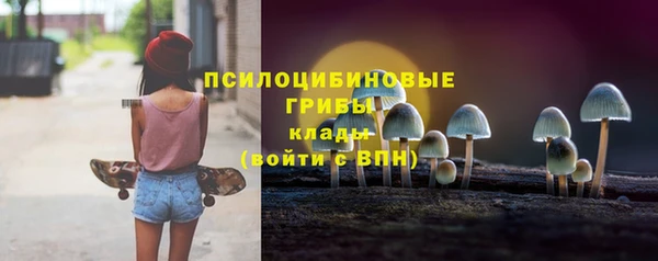 ПСИЛОЦИБИНОВЫЕ ГРИБЫ Беломорск