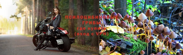 ГАЛЛЮЦИНОГЕННЫЕ ГРИБЫ Белокуриха