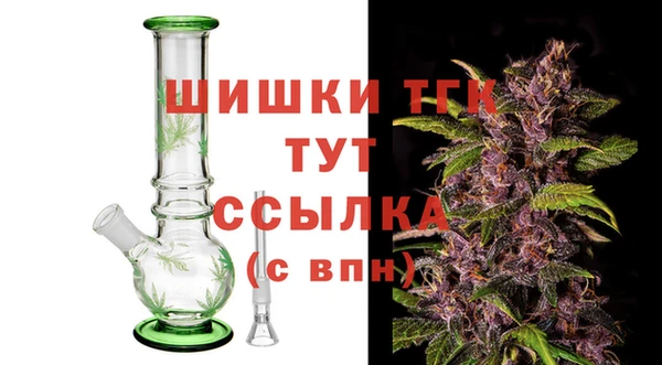 ГАЛЛЮЦИНОГЕННЫЕ ГРИБЫ Белокуриха