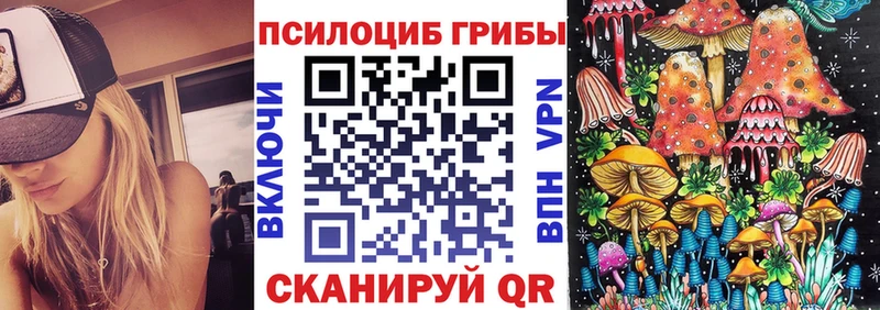 blacksprut   Кулебаки  Галлюциногенные грибы Cubensis  хочу  